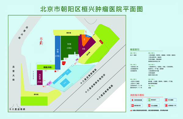 我看逼网站北京市朝阳区桓兴肿瘤医院平面图